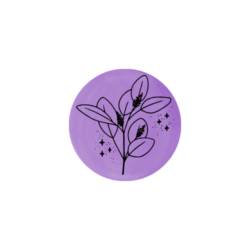 Chillwave Facial + Peel + Reiki Gift Cards (GC)